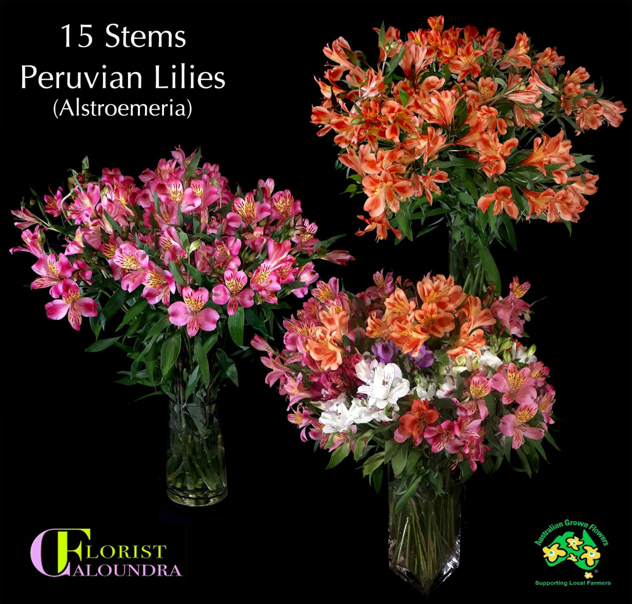 PERUVIAN LILIES